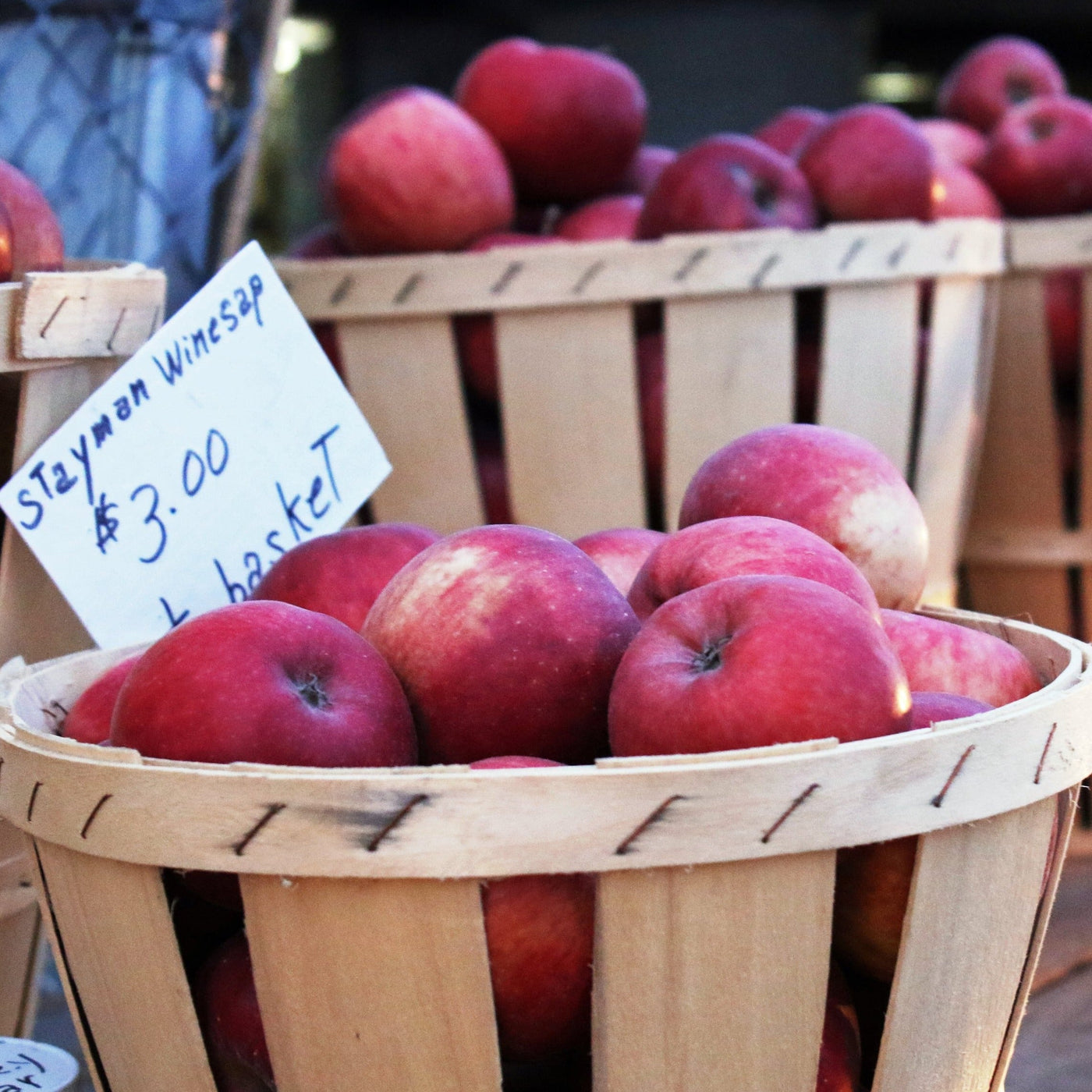 Stayman Winesap Apple Bare Root – Green Thumbs Garden